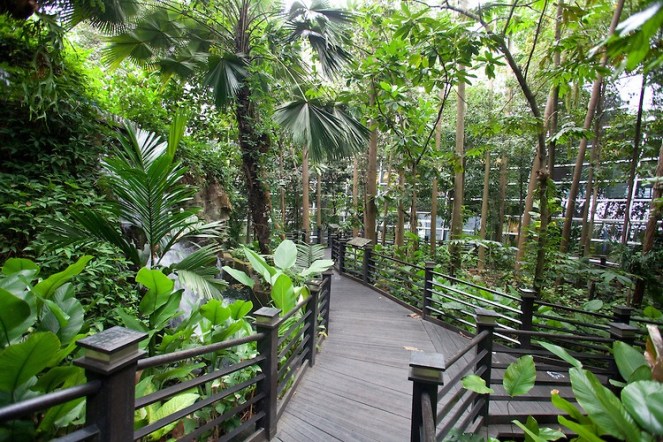 Rainforest walk, Sepang Airport, Kuala Lumpur, Malaysia